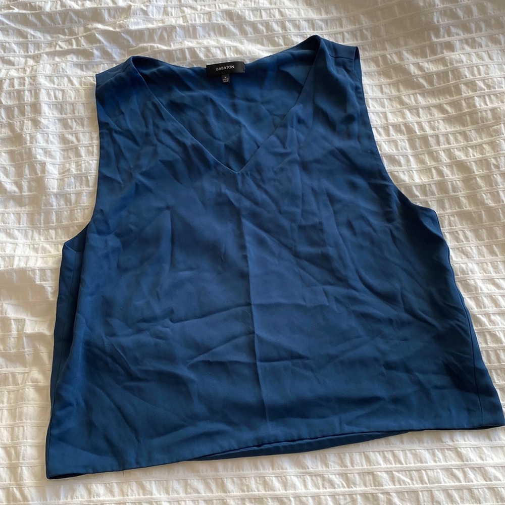 Aritzia Babaton top